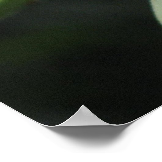 ユッカ開花 ポスター (角)