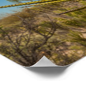 ユッカ・イン・ザ・デザートメキシコ ポスター (角)