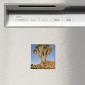 ユッカ・ブリビフォリア（Joshua Tree）と花崗岩 マグネット (インサイチュ (食洗機))