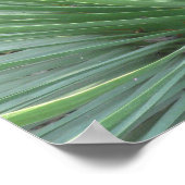 ユッカ ポスター (角)