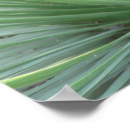 ユッカ ポスター (角)