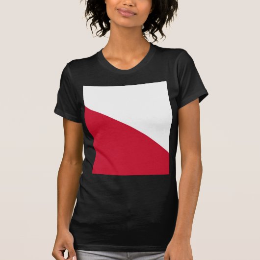 ユトレヒト国旗（市） Tシャツ (正面)