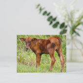 ユニオンヴェール ポストカード (スタンド正面)