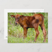 ユニオンヴェール ポストカード (正面/裏面)