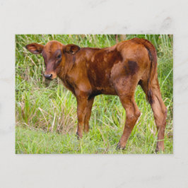 ユニオンヴェール ポストカード