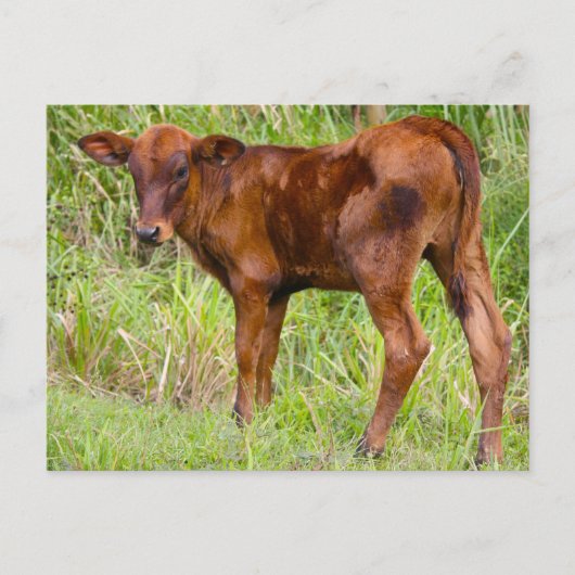 ユニオンヴェール ポストカード (正面)