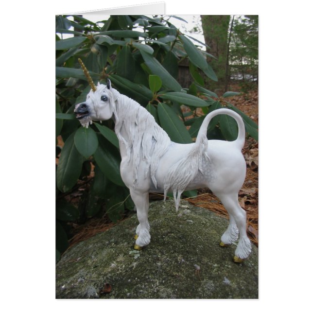 ユニコーンの呼出し (正面)