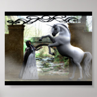 ユニコーンの領域に入る ポスター