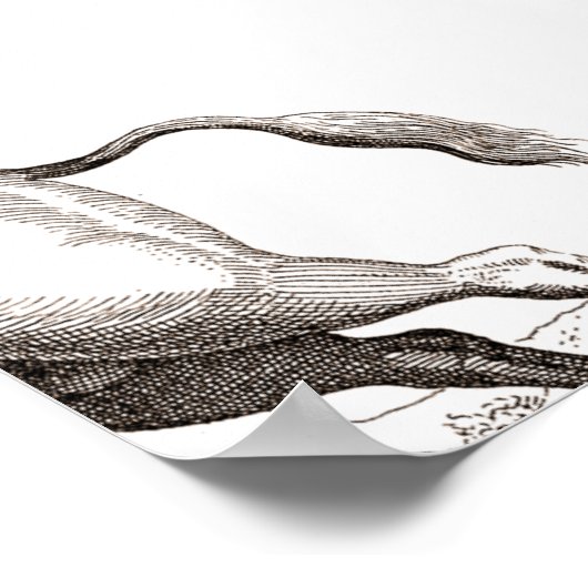 ユニコーンクラシックアンティーク神話の魔法の生き物 ポスター (角)