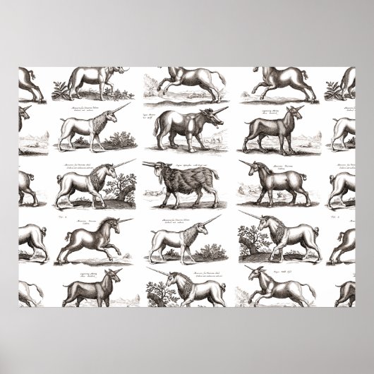 ユニコーンクラシックアンティーク神話の魔法の生き物 ポスター (正面)