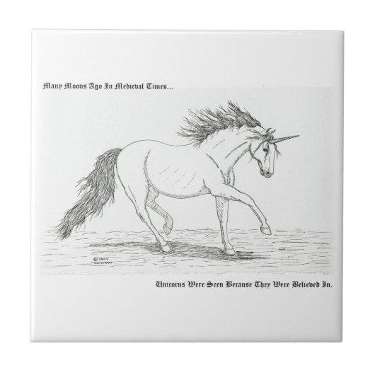 ユニコーン実在 タイル (正面)