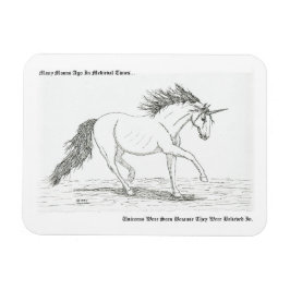 ユニコーン実在 マグネット