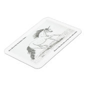 ユニコーン実在 マグネット (左側)