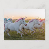 ユニコーン畑 ポストカード (正面)