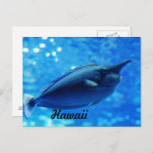 ユニコーン魚 ポストカード (正面/裏面)