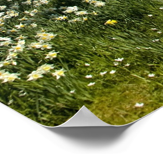 ユニコーン ポスター (角)