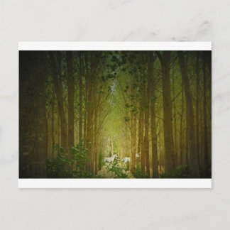 ユニコーン ポストカード