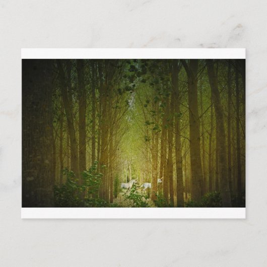 ユニコーン ポストカード (正面)