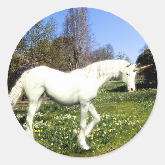 ユニコーン ラウンドシール (正面)