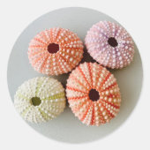 ユニシーウルチンスモールラウンドステッカー ラウンドシール (正面)