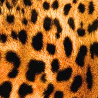 ユニセックス スウェットシャツ