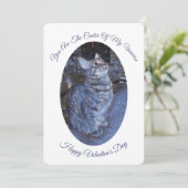 ユニバきらめくス猫フォトバレンタインデー シーズンカード (スタンド正面)