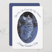 ユニバきらめくス猫フォトバレンタインデー シーズンカード (正面/裏面)