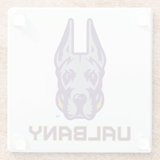 ユニバーシティアットアルバニーグレートダネス ガラスコースター (裏面)