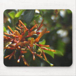 ユニークなオレンジ色の植物のマウスパッド マウスパッド