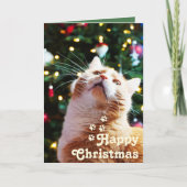ユニークなクリスマスカード Funny Cat と Green Tree&Happy Christm カード (正面)