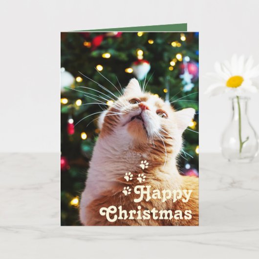 ユニークなクリスマスカード Funny Cat と Green Tree&Happy Christm カード (小さな植物)
