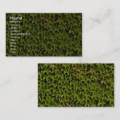 ユニークなヴァージニアクリーパー 名刺 (正面/裏面)