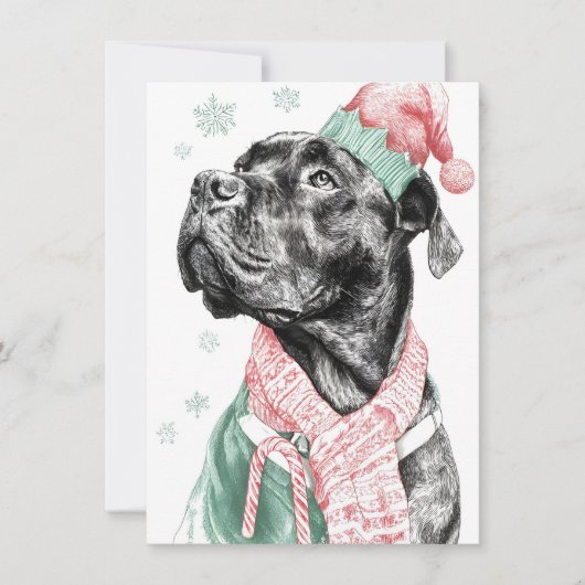 ユニークな犬のクリスマスカード シーズンカード (正面)
