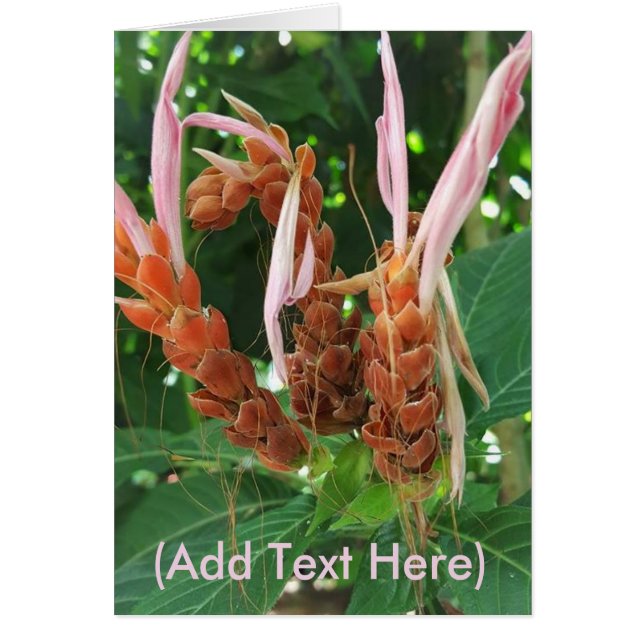 ユニークな花のカードに個人メッセージを添える (正面)