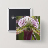 ユニークな蘭ボタン 缶バッジ (正面&裏面)