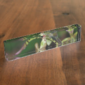 ユニークな蘭 デスクネームプレート (側面)