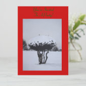 ユニーククリスマス風雪 招待状 (スタンド正面)