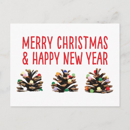 ユニークシンプル祭日ピネコーン葉書 シーズンポストカード (正面)