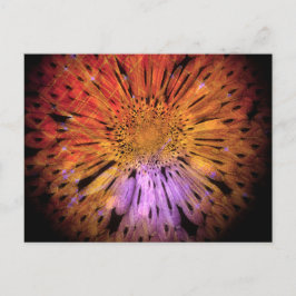 ユニークポストカード ポストカード