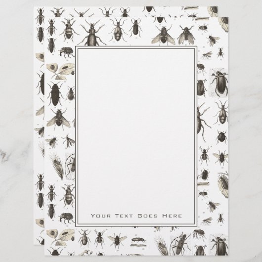 ユニークヴィンテージ虫と昆虫模様 (正面/裏面)