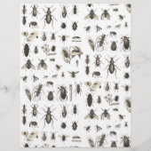 ユニークヴィンテージ虫と昆虫模様 (裏面)