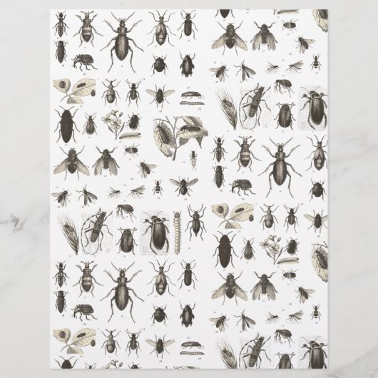 ユニークヴィンテージ虫と昆虫模様 (裏面)