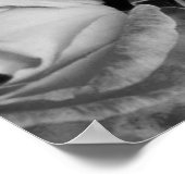 ユニーク美しい ポスター (角)