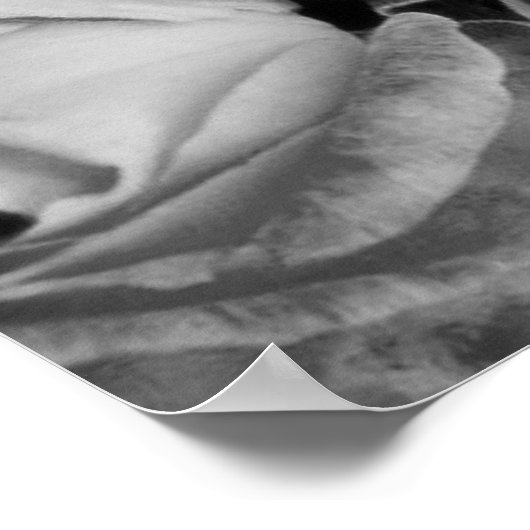 ユニーク美しい ポスター (角)