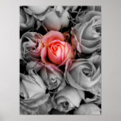 ユニーク美しい ポスター (正面)