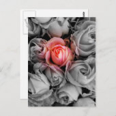 ユニーク美しい ポストカード (正面/裏面)