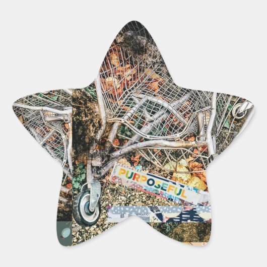 ユニーク走ショッピングカートのシール 星シール (正面)