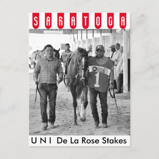 ユニ・ヨルゲ・アブレウ・シュグ・マガグヘイ ポストカード (正面)