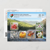 ユネスコ – アッシナナナ – アンドリンギトラ国立公園 ポストカード (正面/裏面)