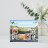 ユネスコ – アッシナナナ – アンドリンギトラ国立公園 ポストカード (スタンド正面)